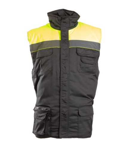 BRASS VISION PLUS.jpg